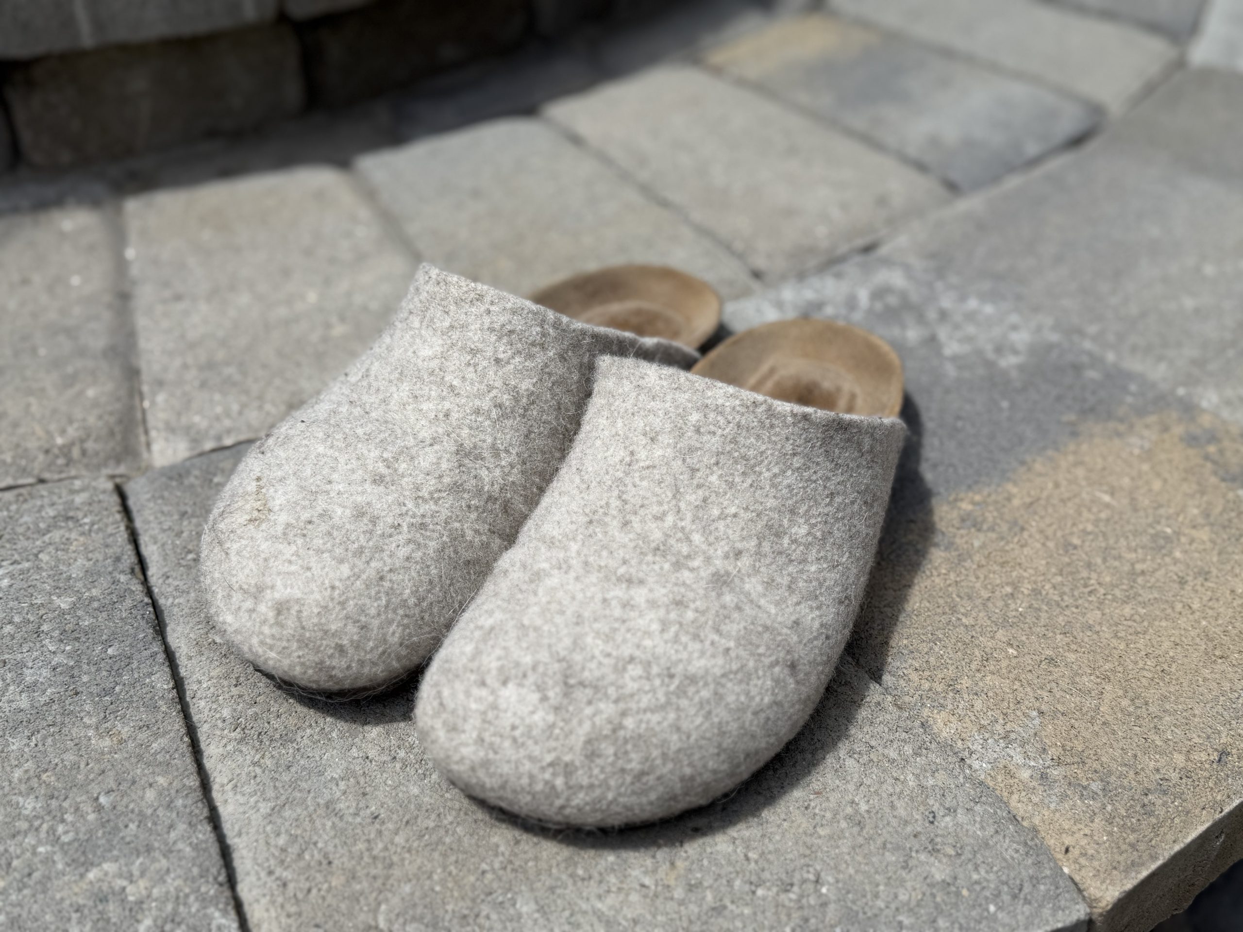 Cozy Earth Lakehouse Clogs