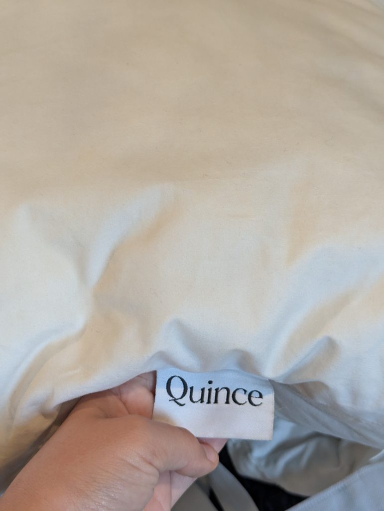 Quince pillow