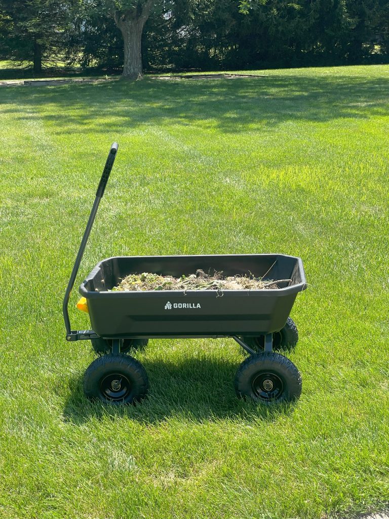 Gorilla Carts Heavy-Duty Dump Cart
