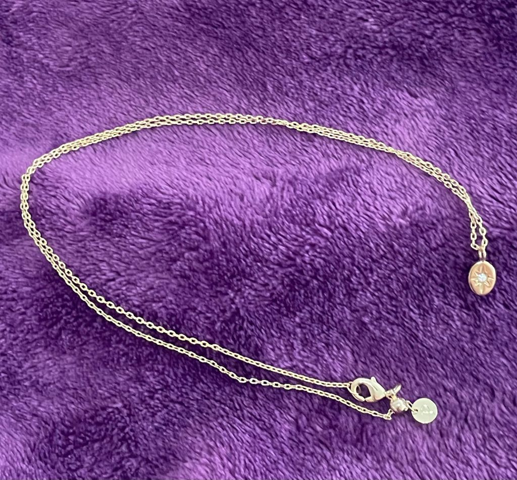 Full shot of the Pavoi North Star Pendant Necklace.