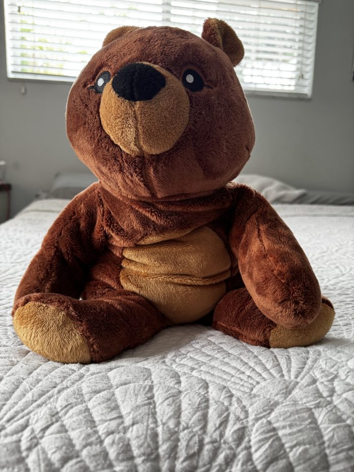 Darby sitting on the bed with window blurred behind bear.