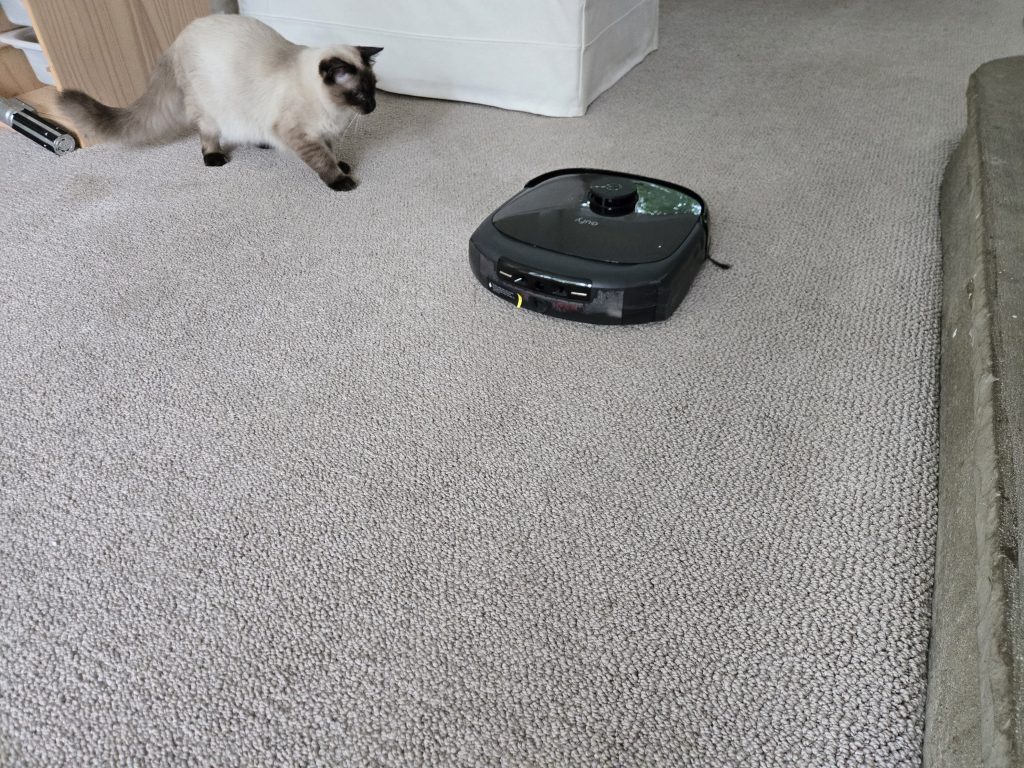 Eufy Omni E25 on carpet