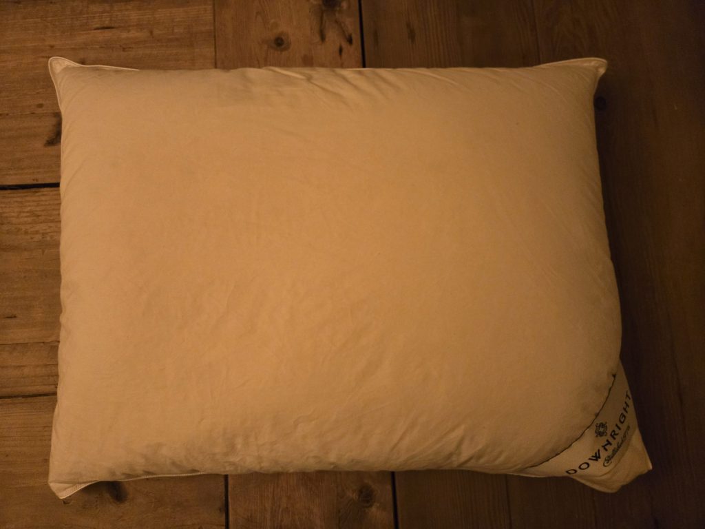 Downright Organa White Goose Down Pillow Review