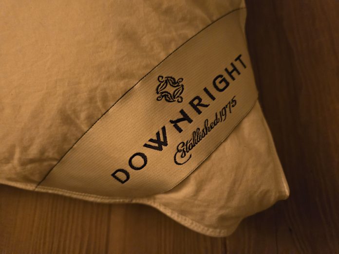 Downright Organa White Goose Down Pillow Review