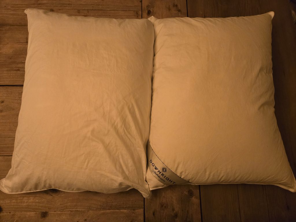 Downright Organa White Goose Down Pillow Review
