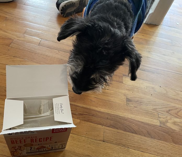 Woof Woof sniffing the Honest Kitchen Wholemade box