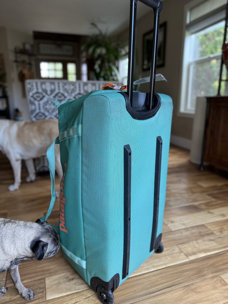 The back of the Black Hole Wheeled Duffle with a Lab and Pug for scale.