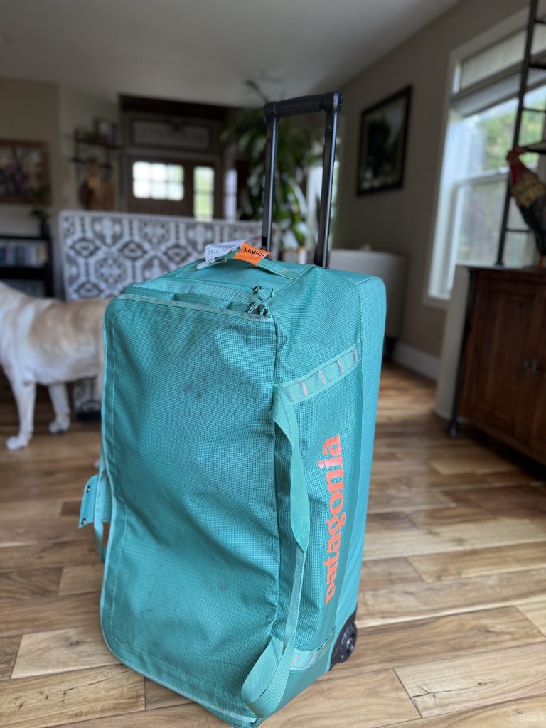 The Black Hole Wheeled Duffel 100L bag with a Labrador for scale.