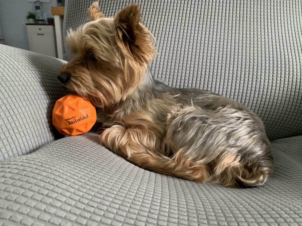 Luke playing with the Waboba Tailwind Ball
